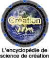 Wiki.png