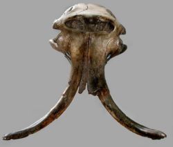 MammothSkull.jpg