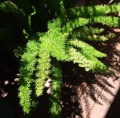 Thumbnail for version as of 17:59, 24 April 2006