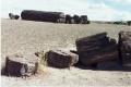 Petrified Forest National Park Arizona