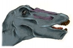 Apatosaurus2.jpg