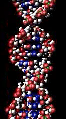 Thumbnail for version as of 18:23, 20 April 2006