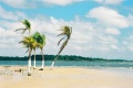 Marajo