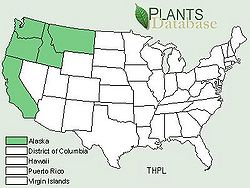 Distribution Thuja plicata.JPG
