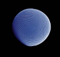 Compound eye of the Antarctic krill Euphausia superba.