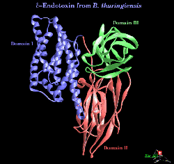 Bacillus thuringiensis toxin.gif