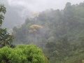 Thumbnail for version as of 22:20, 21 April 2006