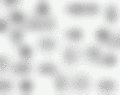 Thumbnail for version as of 17:25, 10 March 2005