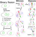 Thumbnail for version as of 16:51, 12 February 2006