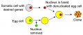 Thumbnail for version as of 18:05, 27 August 2006