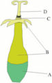 Thumbnail for version as of 03:40, 27 March 2006