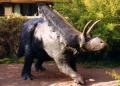 Pentaceratops