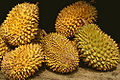 Thumbnail for version as of 22:56, 19 May 2010