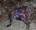 Thumbnail for version as of 01:32, 19 October 2006