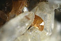 Thumbnail for version as of 05:59, 4 January 2010