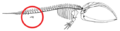 Thumbnail for version as of 22:40, 30 November 2016