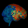 Thumbnail for version as of 16:33, 27 January 2015