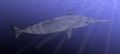 Thumbnail for version as of 00:42, 28 December 2016