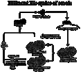 Thumbnail for version as of 04:50, 10 October 2006