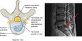 Thumbnail for version as of 05:18, 13 January 2015