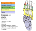 Thumbnail for version as of 18:06, 28 May 2013