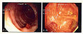 Thumbnail for version as of 05:56, 30 October 2009