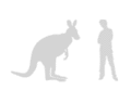 Thumbnail for version as of 03:05, 27 January 2015