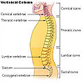 Thumbnail for version as of 16:24, 17 November 2011