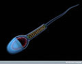 Thumbnail for version as of 05:14, 19 January 2012