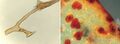 Thumbnail for version as of 00:30, 27 January 2024