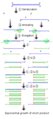 Thumbnail for version as of 11:14, 20 August 2013