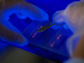 Thumbnail for version as of 13:49, 12 March 2007