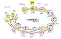 Thumbnail for version as of 03:57, 30 January 2012