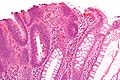 Thumbnail for version as of 06:17, 30 October 2009
