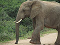 Thumbnail for version as of 03:58, 12 February 2013