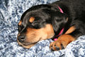 Thumbnail for version as of 00:54, 19 November 2008