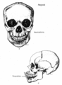 Thumbnail for version as of 21:45, 16 February 2009