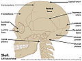 Thumbnail for version as of 23:20, 3 November 2011