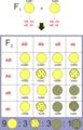 Thumbnail for version as of 14:11, 23 June 2013