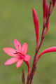 Thumbnail for version as of 20:16, 5 June 2008