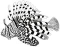 Thumbnail for version as of 16:30, 13 October 2014