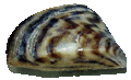 Thumbnail for version as of 18:21, 15 October 2012