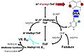 Thumbnail for version as of 08:51, 18 January 2010