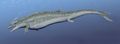 Thumbnail for version as of 05:14, 2 January 2017