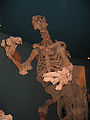 Thumbnail for version as of 06:51, 26 February 2010