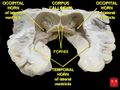 Thumbnail for version as of 18:46, 9 April 2016