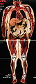 Thumbnail for version as of 03:45, 17 February 2011