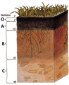 Thumbnail for version as of 05:28, 26 May 2013