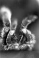 Thumbnail for version as of 18:31, 25 October 2006
