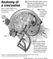 Thumbnail for version as of 07:00, 13 January 2015